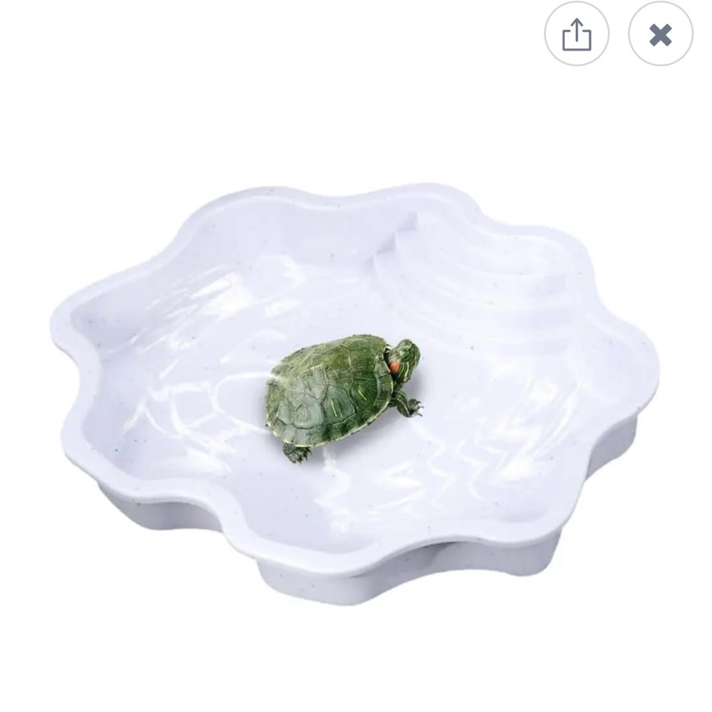 Reptile Bathing Pool